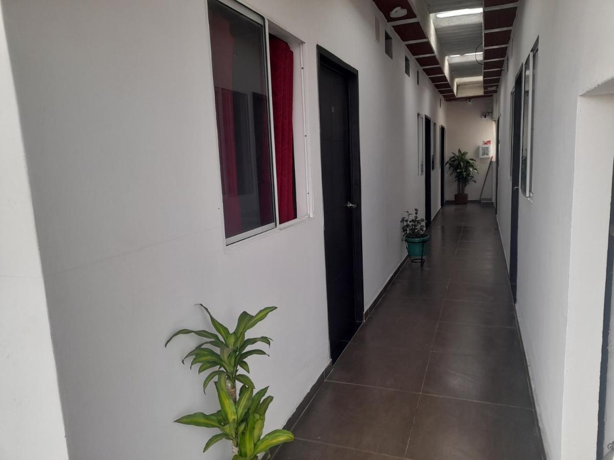 كالي Apartaestudios El Jardin المظهر الخارجي الصورة
